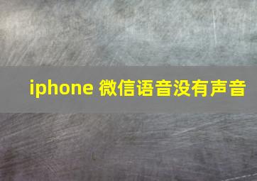 iphone 微信语音没有声音